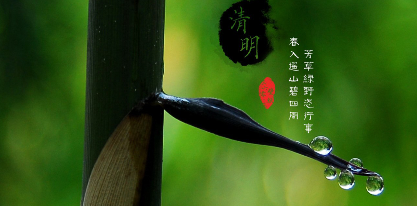 1681018770576.png 1681018770576.png